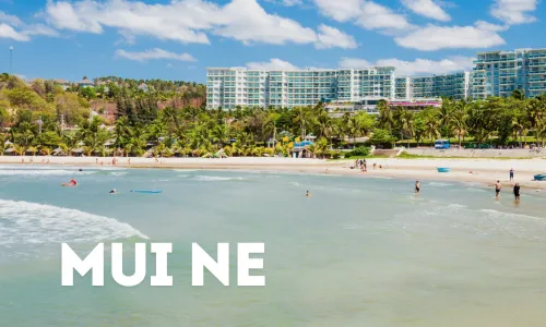Strand mit Palmen in Mui Ne